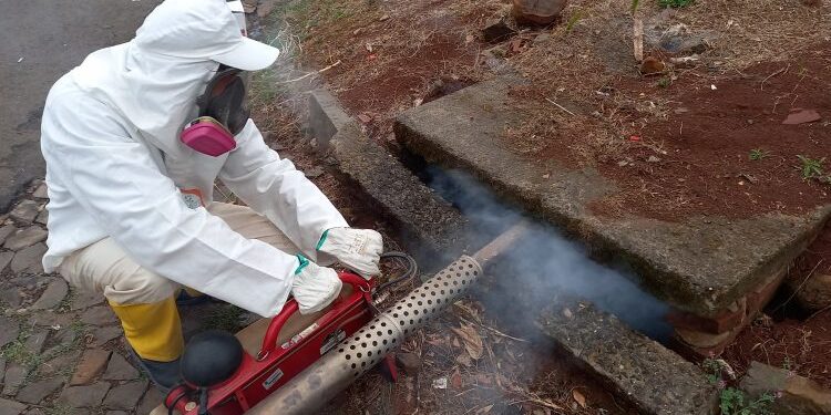 Desinsetização nas bocas de lobo integra estratégia preventiva contra mosquitos e baratas em Erechim