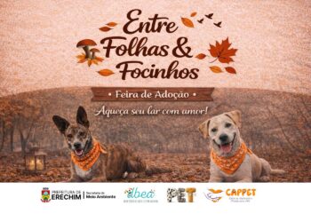 Feira “Entre Folhas e Focinhos” mobiliza Erechim e reforça apelo pela adoção responsável de cães