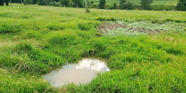 AGER pede consumo consciente de água da população do Centro, Presidente Vargas e Três Vendas devido a rompimento de adutora