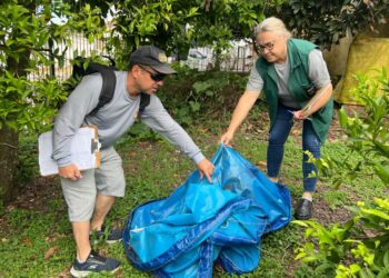 Erechim não registra casos de dengue em 2026, mas alerta que prevenção da população é essencial para manter cenário