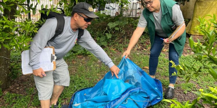 Erechim não registra casos de dengue em 2026, mas alerta que prevenção da população é essencial para manter cenário