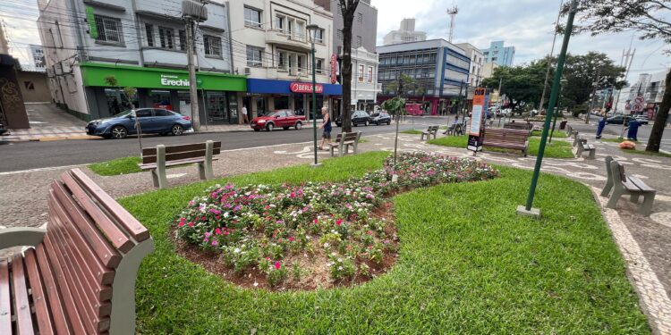 Revitalização dos canteiros da Avenida Maurício Cardoso valoriza paisagismo histórico de Erechim
