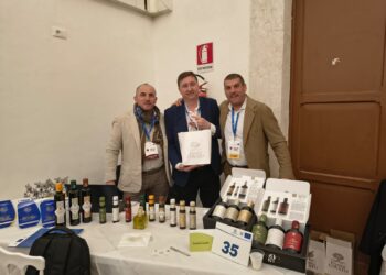 Câmara de Comércio Italiana no RS conecta empresas gaúchas a oportunidades de negócios na Sicília