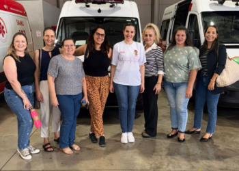 Capacitação fortalece atuação de psicólogos da Atenção Básica em Erechim