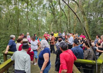 Mais de 1000 estudantes participam do programa Erechim Mais Verde