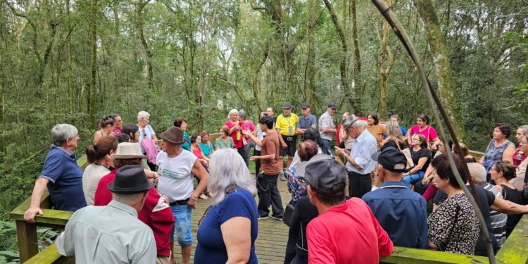 Mais de 1000 estudantes participam do programa Erechim Mais Verde
