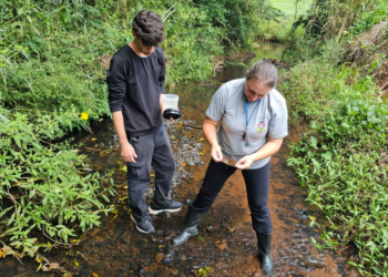 Secretaria de Saúde firma parceria inédita para fortalecer combate ao borrachudo