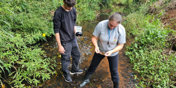 Secretaria de Saúde firma parceria inédita para fortalecer combate ao borrachudo