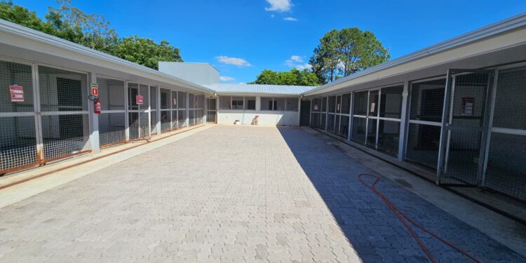 Erechim tem programa municipal gratuito para castração de pets