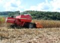 Colheita de milho chega a 90% no RS e produção se mantém próxima de 6 milhões de toneladas
