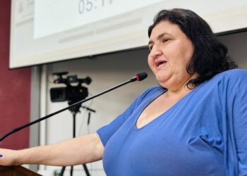 Vereadora Sandra Picoli propõe audiência pública para debater perturbação do sossego em Erechim