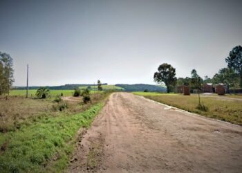 Transbrasiliana: manifestação positiva da FEPAM garante continuidade do projeto para licitação das obras