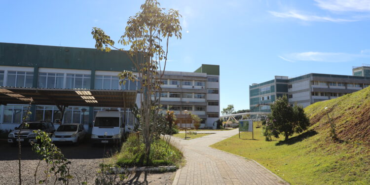 UFFS – Campus Erechim destaca desempenho no Enade Licenciaturas 2025