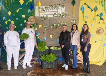 Produtor entrega alfaces às Escolas Municipais como contrapartida de programa de incentivo à produção agroecológica