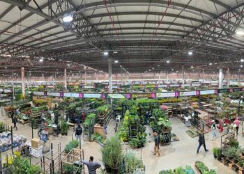 Produtores de Erechim participaram da Hortitec 2026 em busca de conhecimento e inovação para o setor