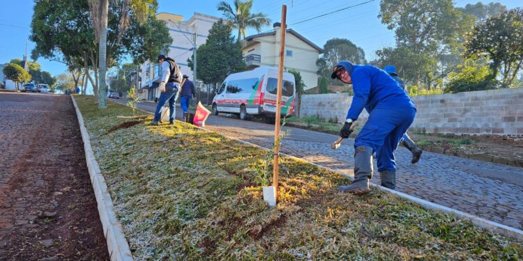 Secretaria de Meio Ambiente termina revitalização do canteiro central da Rua Monteiro Lobato