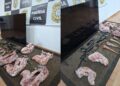 Polícia Civil recupera televisão furtada e apreende carne de animais silvestres em Erebango