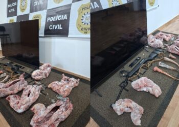 Polícia Civil recupera televisão furtada e apreende carne de animais silvestres em Erebango