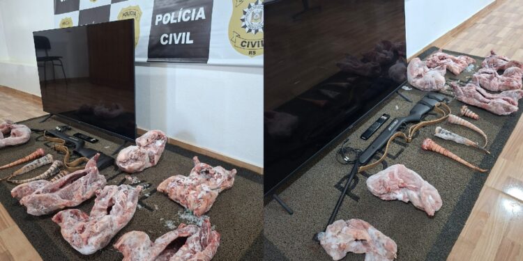 Polícia Civil recupera televisão furtada e apreende carne de animais silvestres em Erebango