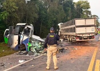 Caminhão de Erechim se envolve em acidente com 22 mortos e cinco feridos no Paraná
