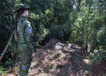 Polícia Ambiental flagra descarte irregular de animais mortos em Jacutinga