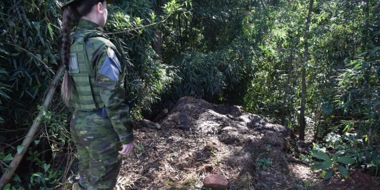 Polícia Ambiental flagra descarte irregular de animais mortos em Jacutinga