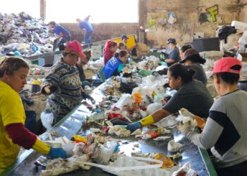 Mais eficiência, melhor renda e valorização dos recicladores com esteiras de triagem