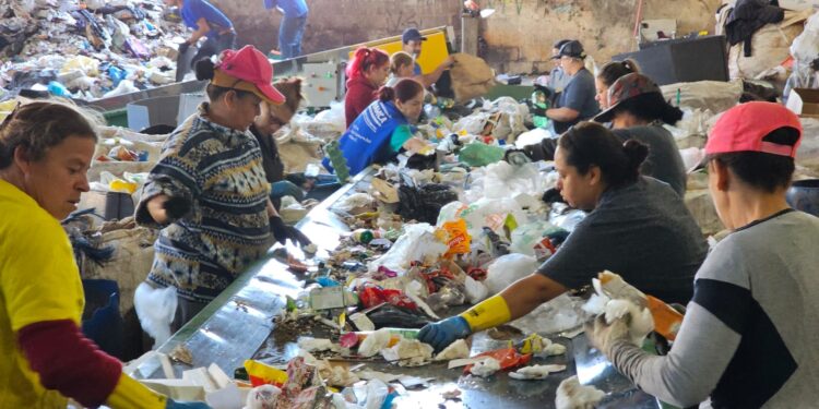 Mais eficiência, melhor renda e valorização dos recicladores com esteiras de triagem