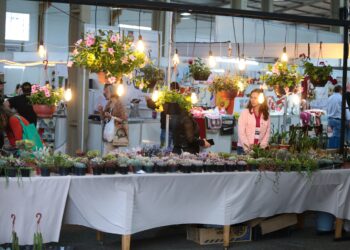 Inscrições abertas para o Pavilhão da Agricultura Familiar da Frinape 2026