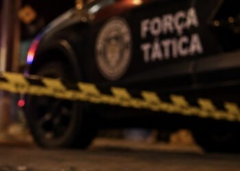 Polícia Civil prende preventivamente autor de diversos furtos em Erechim