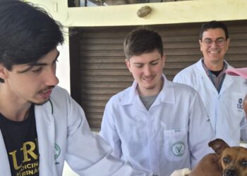 Medicina Veterinária da URI auxilia na imunização de animais em campanha de vacinação