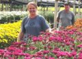 Produtores de Vale Real transformam cultivo de flores em fonte de renda e orgulho no campo