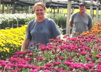 Produtores de Vale Real transformam cultivo de flores em fonte de renda e orgulho no campo